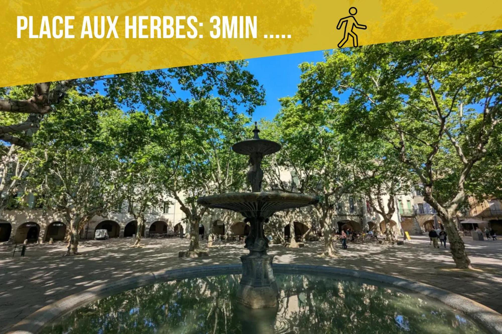 Ulysse, Appartement Spacieux Au Centre Historique D'Uzes En Rez-De-Chaussee Avec Exterieur, Proche Parking Des Marroniers Esterno foto